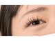 サクサク(sakusaku)の写真