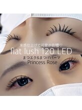 キレイシェア バイ プリンセスローズ静岡駅店(KIREI SHARE)/LEDマツエク