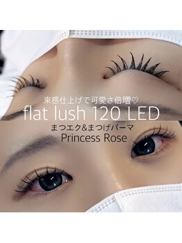 キレイシェア バイ プリンセスローズ静岡駅店(KIREI SHARE)/LEDマツエク