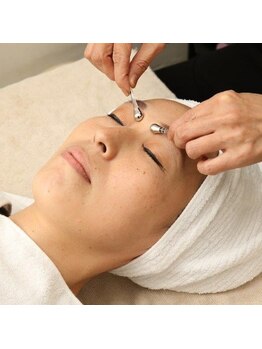 キャンディーローズ(candyrose)/