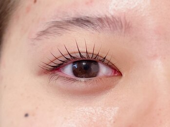 ビオラス(Biolus)/まつ毛パーマ/ラッシュリフト