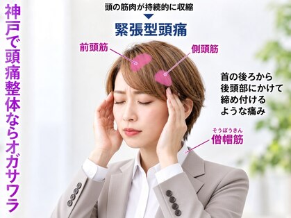 整体オガサワラの写真