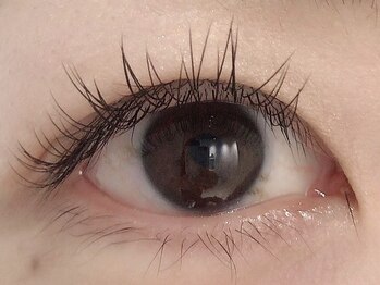 カラン 焼津店(CALIN)/フラットラッシュ100本