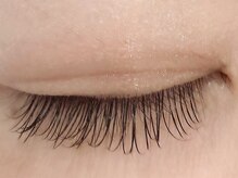 カラン 焼津店(CALIN)/フラットラッシュ100本