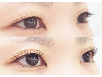 ハリエンジュ(Harienju)/ラッシュリフト