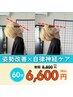 【姿勢改善×自律神経ケア】猫背・巻き肩改善整体60分　¥8,800→¥6,600