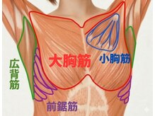 リ プラス(Re:plus)/肩こりと巻き肩に