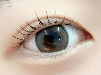 ケーズラッシュ(K's LASH)/まつ毛パーマ