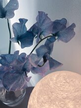 フリーティング(Fleeting)&nbsp;サクマ 