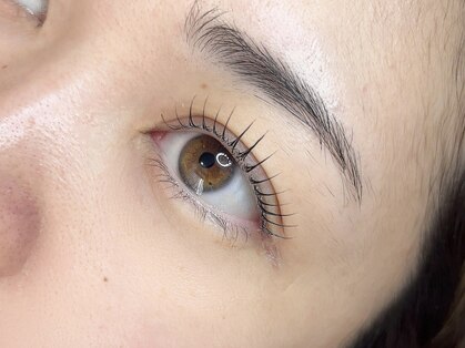 ハープ アイラッシュ(HARP Eyelash)の写真