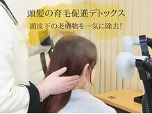 サロン ド エステティック ルチア 東京店/頭髪の育毛促進デトックス