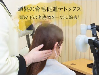 サロン ド エステティック ルチア 東京店/頭髪の育毛促進デトックス