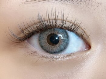 ローラント(LAURENT)/カラーフラットラッシュ 200本