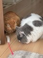アジアンリラクゼーション ヴィラ 関店(asian relaxation villa) お姉ちゃん家にいる猫ちゃん(*´`)可愛すぎる!