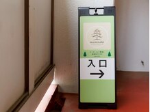 モミノキ(mominoki)/