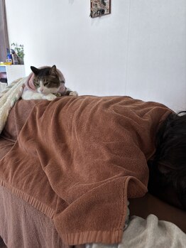 リラクゼーションスポットハンズ(Relaxation spot HanD's)/施術風景