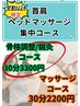 【学割U24】首肩+ヘッドマッサージ+骨格調整or鍼灸 30分3300円