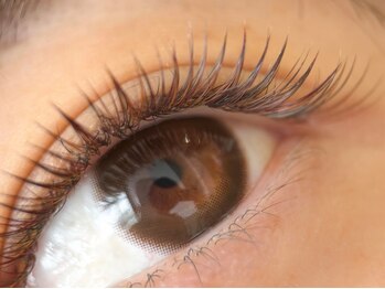 ヘアアンドアイラッシュ テクテク(teku teku)の写真/【ゆったり完全個室】ナチュラルなのに目を惹く印象的なまつげ！お顔に自然に馴染む垢抜けカラーエクステ♪