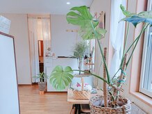 ピピ(PiPi)の雰囲気（落ち着いた癒し空間でホッと一息。）