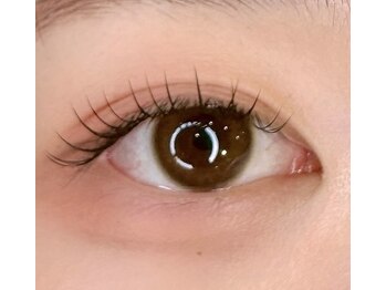 マイフェアレディ 今池(MyFairLady)/スーパーフラットラッシュ