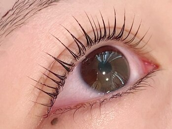 レイビューティー 浜町中央橋店(RAY+beauty)の写真/【最新韓国トレンド☆】持ちの良さ◎ティントパーマで目力UP!すっぴんでも存在感のある美しい自まつ毛に♪