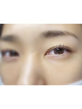 初めての方にオススメ