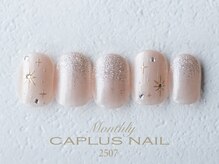 キャプラスネイル ミートトゥリー 中津川(CAPLUSNAIL meettree)/■monthly■ 2507
