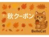 ★マツエク秋クーポン★ご新規様限定【ナチュラルメガ200本】オフ込/束感無料