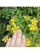 桃の木 吉祥寺店/梅雨時期の綺麗な花と自爪