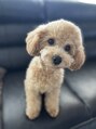 ヒダマリ(HIDAMARI)&nbsp;3歳になった、まだまだ甘えん坊の小梅ちゃん(*^-^*)