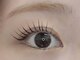 ネイルクイック オクリ 銀座店(NailQuick OCULI)の写真/【最先端技術でトリートメント効果高】まつ毛をケアするケラチンパーマでダメージレス◎マスカラパーマ◎