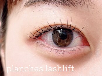 ウィスタリア フィールドプランシュ(WISTARIA FIELD-PLANCHES)/カールデザインでキュート☆