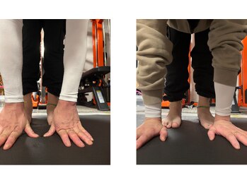 ローリエ/今も楽、考えもっと楽に。