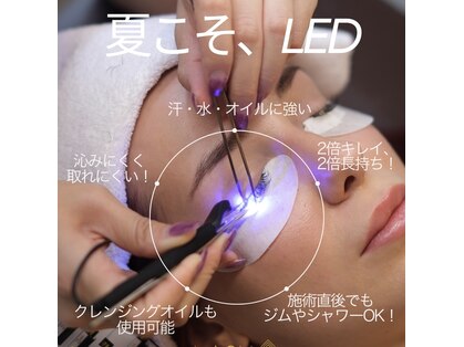 ブリアン(Brillant)の写真