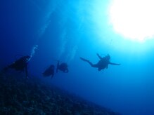 ラニズ(Lani's Hawaiian Relaxation)/ボートダイビング