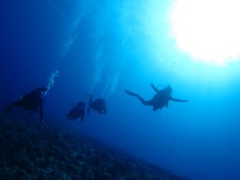 ラニズ(Lani's Hawaiian Relaxation)/ボートダイビング