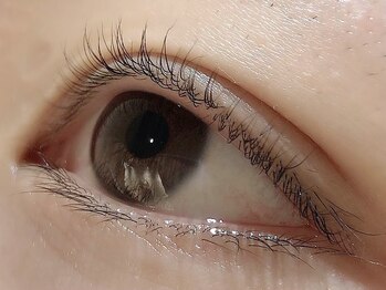 カラン 焼津店(CALIN)/ラスティングカール