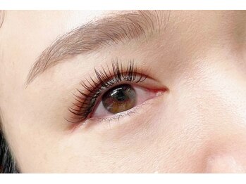 テイラー(Taylor)/フラットラッシュ140本 SONE