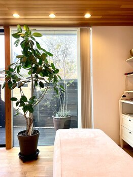 さくらの整体院の写真/神経整体で疲れ解消◎ソフト整体で体が軽くなる！強もみが苦手な方も安心の癒やし空間♪