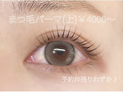ウサギ(USAGI)の写真
