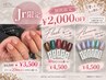 【期間限定！】￥2,000オフ！Jrネイリスト.ワンカラー/フラッシュ・オーロラ