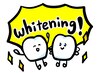 【先着30名様限定】歯のホワイトニングが初回半額！通常¥4,000→初回¥2,000！