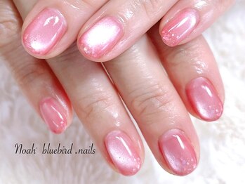 ノアブルーバードネイルズ(Noah' bluebird .nails)/ホログラム埋め込みマグネット