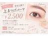 パーマ専任【学割U24】学生応援☆ まつげパーマ ￥2500