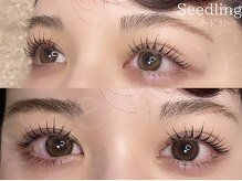 シードリン(Seedling)/まつげパーマ