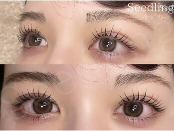 シードリン(Seedling)/まつげパーマ