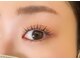 ヒナタアイラッシュ(hinata eyelash)の写真