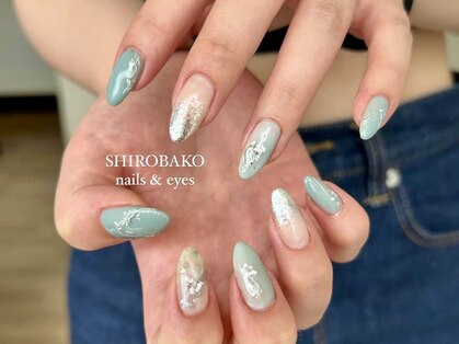 シロバコ(SHIROBAKO)の写真