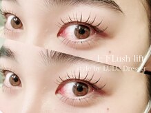 ルルドレッサー バイ シャット(LULU Dresser by chatte)/川崎パリジェンヌ　マツパ　