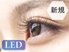 【LEDハリウッドボリューム６D 】両目420本まで￥7000 (初回オフ無料)